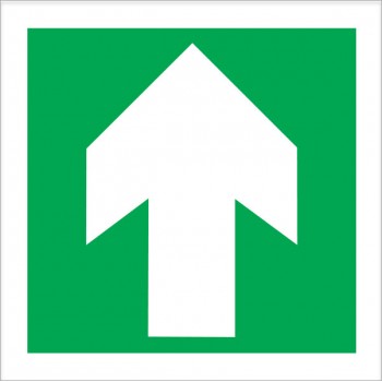 Direction Arrow Photoluminiscent